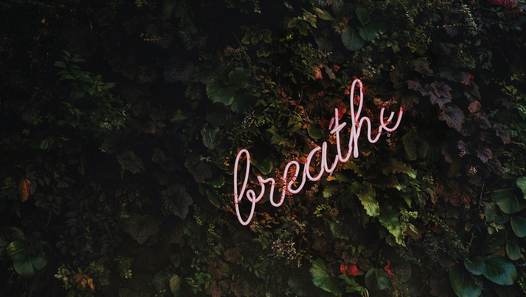breathe neon sign