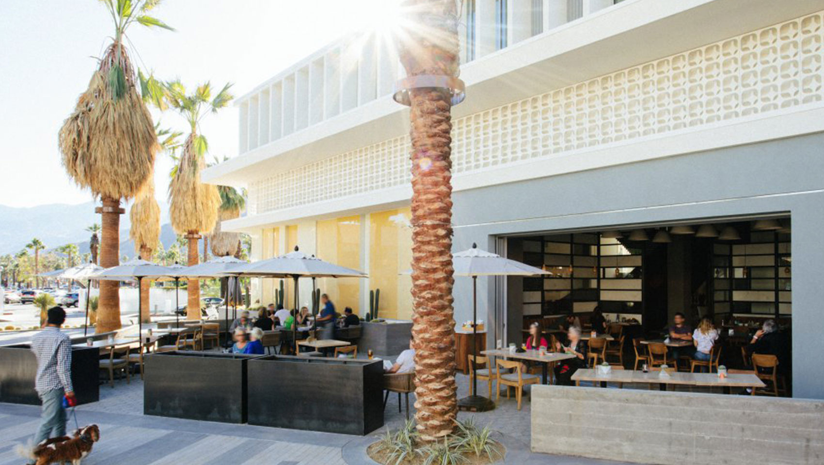 kimpton palm springs rowan hotel juniper table patio