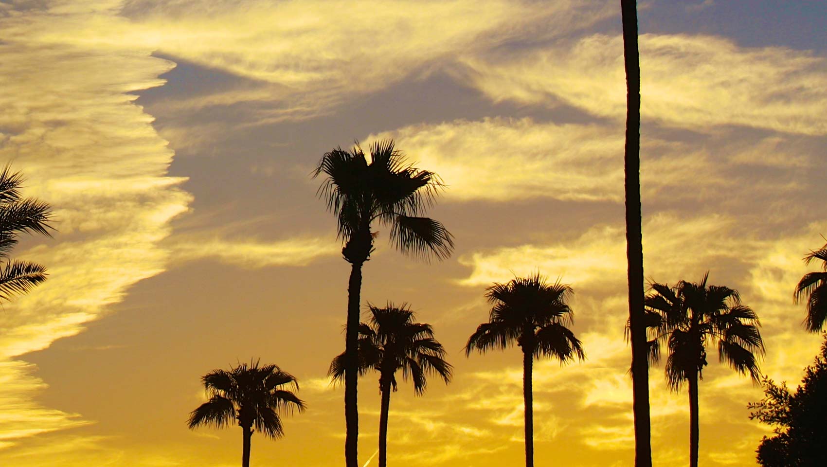 Kimpton Rowan Palm Springs Hotel