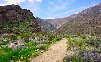Hiking Trail Tahquitz Canyon